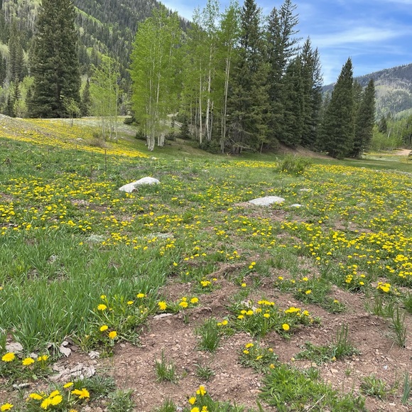 Meet your Posher, H - Picture 1 of 1